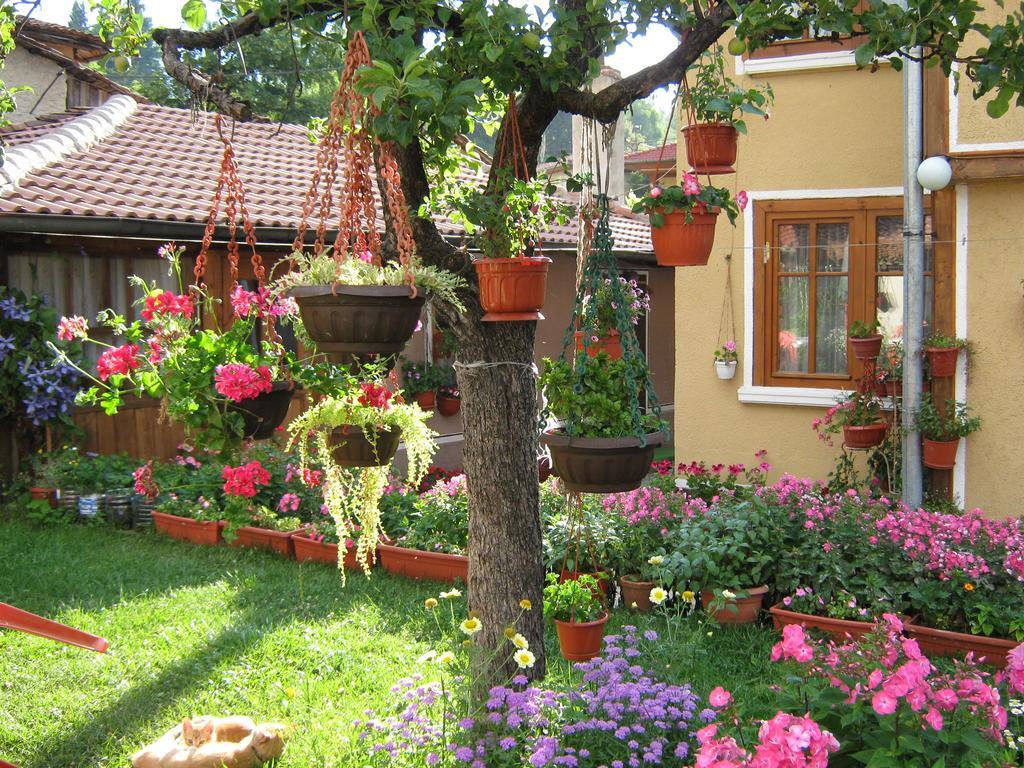 Guest House Bashtina Striaha Kopriwschtiza Exterior foto